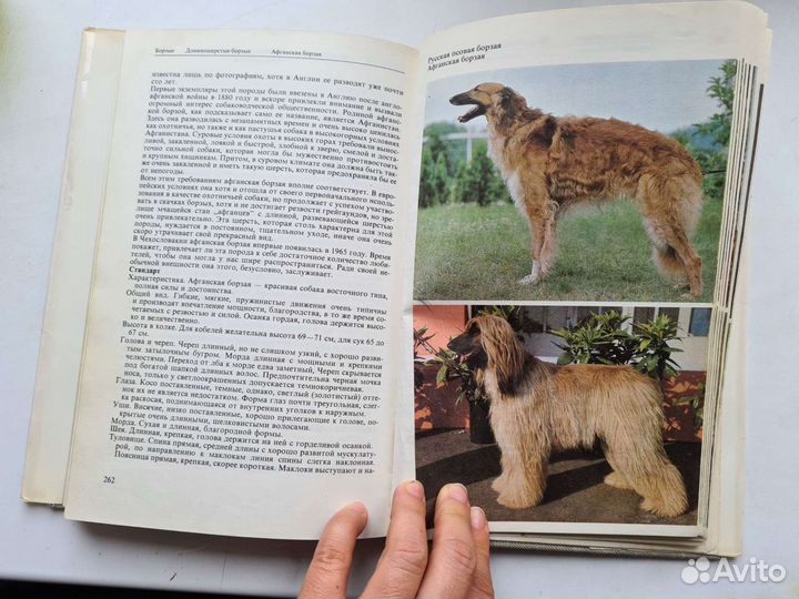 Атлас пород собак Найманова Гумпал