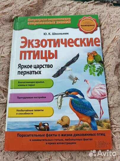 Книга про птиц