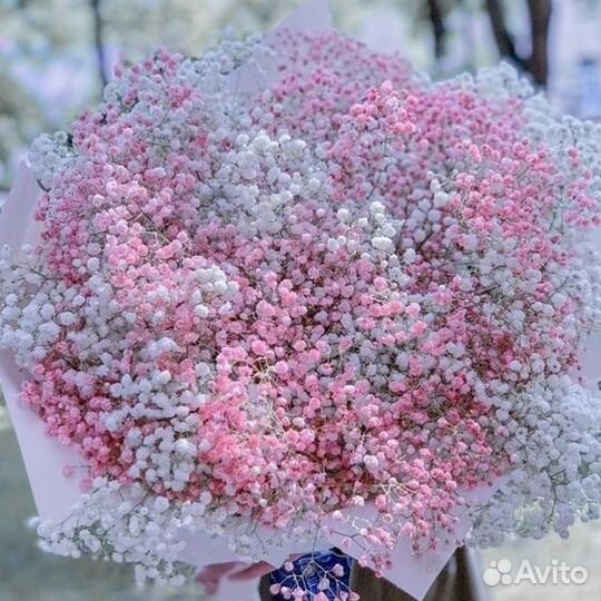 Шикарный Букет из Гипсофил Доставка