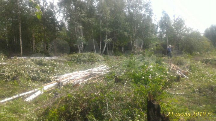 Участок 10 сот. (СНТ, ДНП)