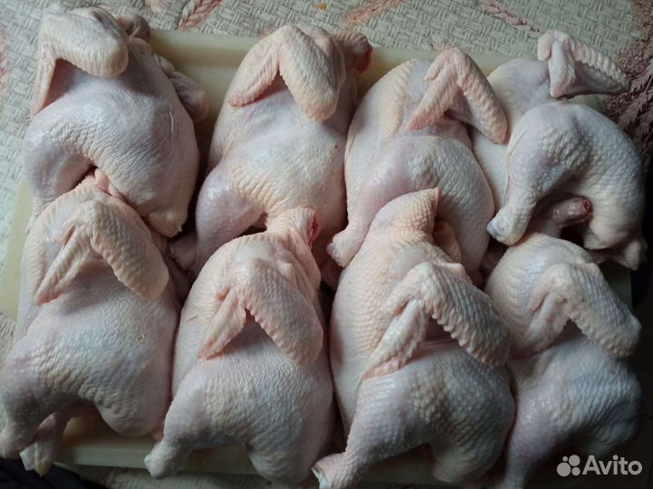 Корнишоны. Мясо бройлера, тушёнка