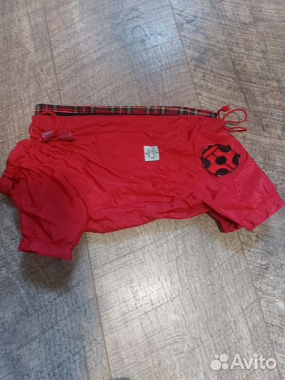 Одежда для собак