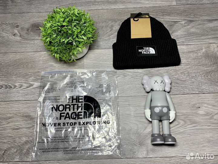 Шапка TNF