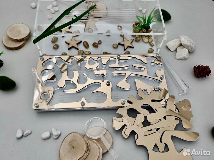 Муравьиная ферма с муравьями Зеркальное золото