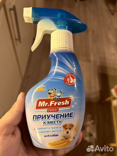 Приучение к лотку