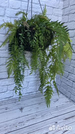 Подвесные сады с реалистичными растениями