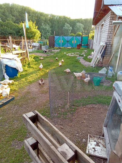 Дом 100 м² на участке 80 сот.