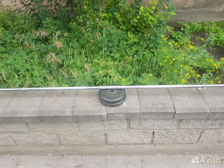 Блины для штанги, гриф