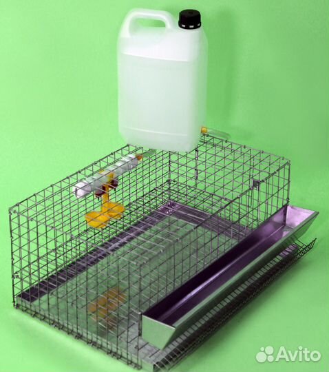 Клетка для перепелов на 15-20 голов