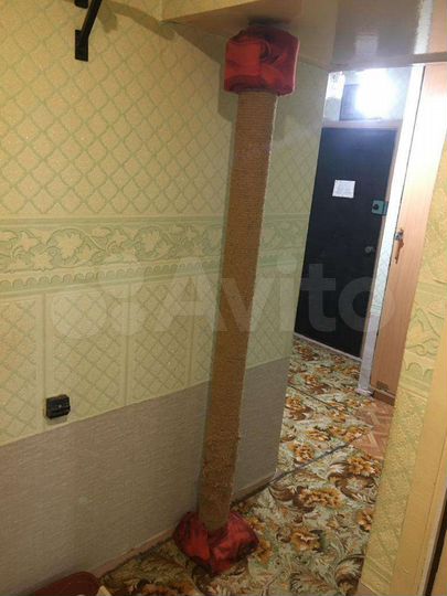 3-к. квартира, 58,3 м², 2/5 эт.