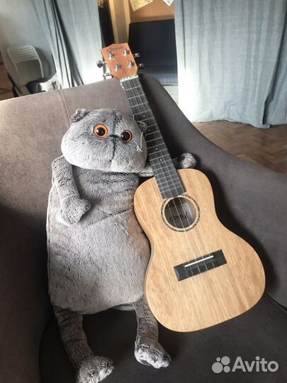 Uma гитара укулеле