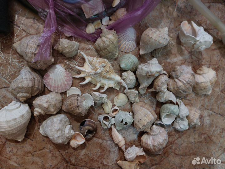 Искусственные растения и приборы для оквариума