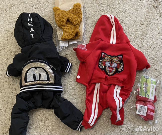 Комбинезоны на Чихуахуа