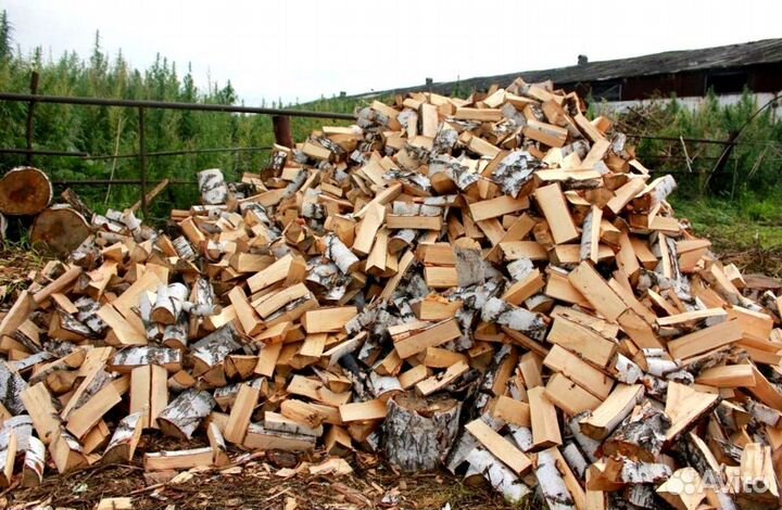 Дрова из Буратино