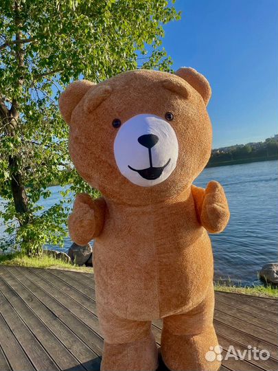 Ростовой Мишка Тедди