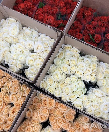 Доставка цветов Сочи