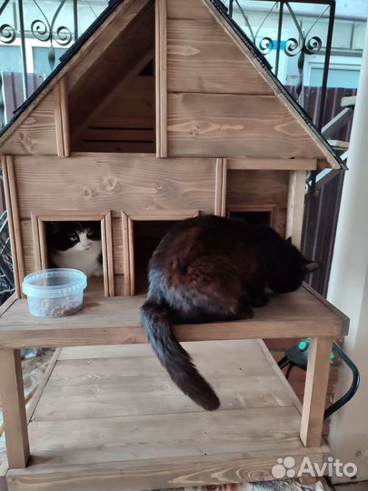 Домик для кошек