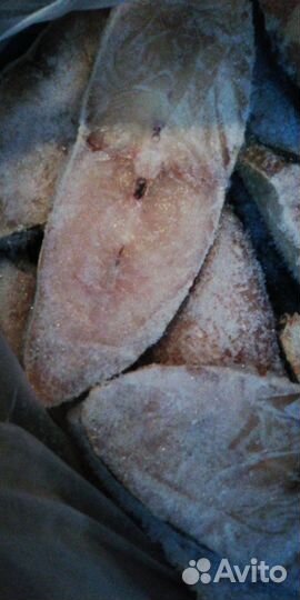 Рыба для животных