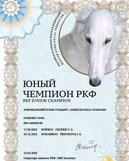 Вязка собак