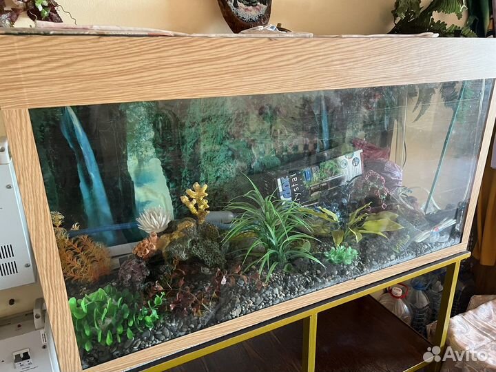 Аквариум на 300 литров