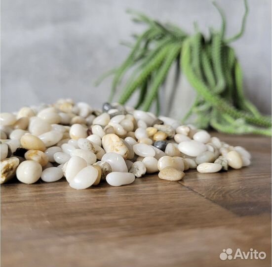 Грунт для аквариума