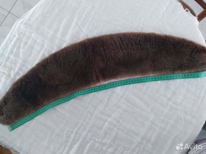 Мех бобра речного