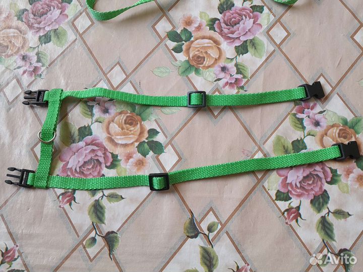 Ошейник+шлейка+поводок