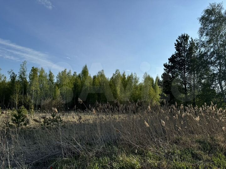 Участок 40 сот. (СНТ, ДНП)