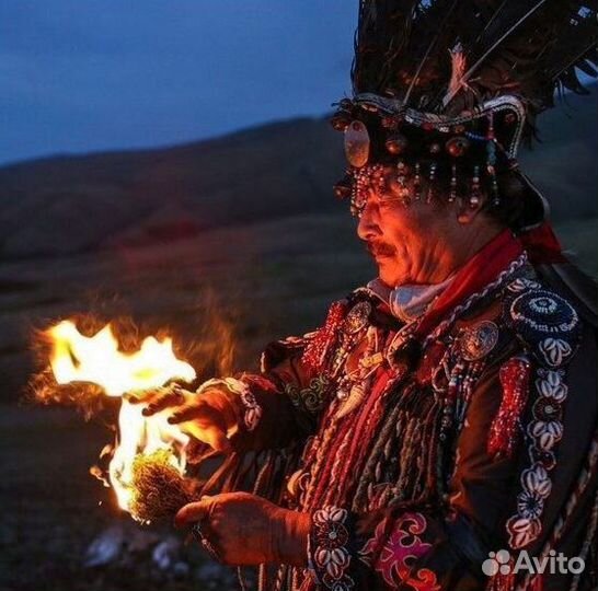 Чай пуэр « Космос шаманов » шмн10873