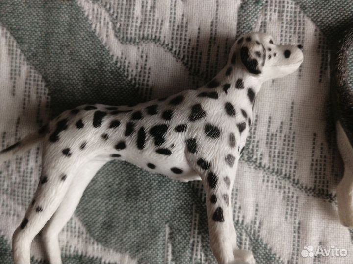 Модели животных