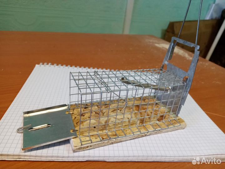 Мышеловка