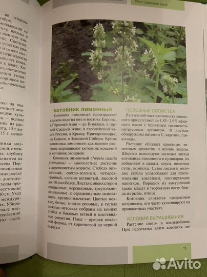 Пряности на даче учебник начинающего садовода