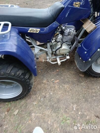 Зид Тарпан 200