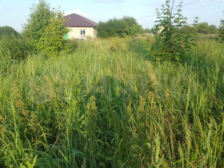 Участок 7 сот. (СНТ, ДНП)