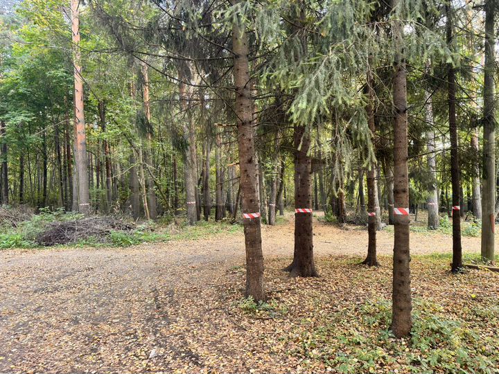 Участок 5 сот. (ИЖС)