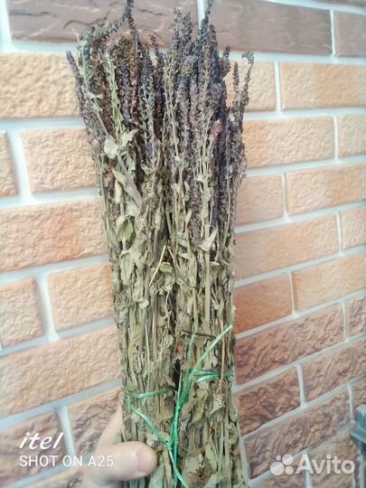 Веники для бани