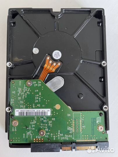 Western Digital Caviar Black 1 Тб WD1001fals-00E8B