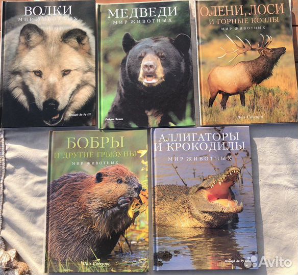 Мир животных Белфакс