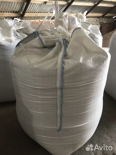 Семена ярового ячменя и пшеницы