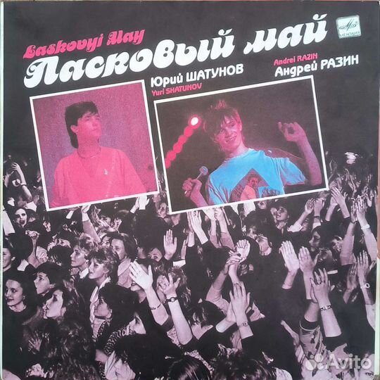 Виниловые пластинки. эстрада