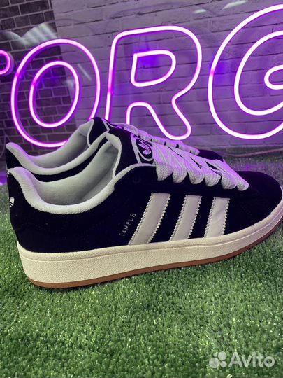 Adidas campus
