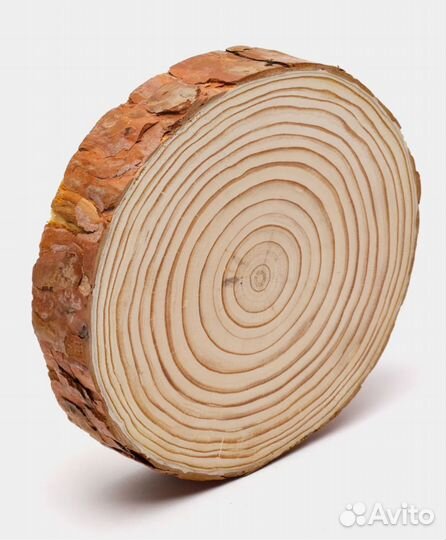 Спил Сосны д.15 см