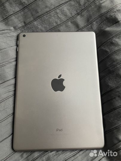 iPad