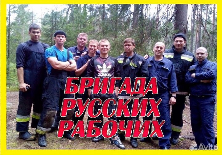 Спил и обрезка деревьев. Валка леса. Расчистка