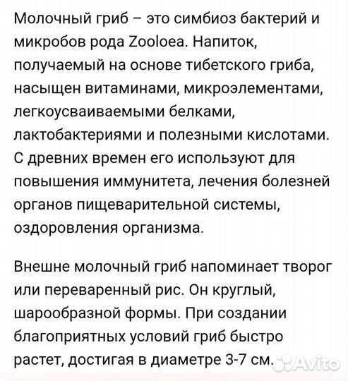 Тибетский молочный гриб