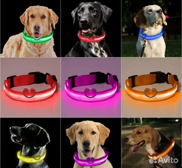 Светящийся ошейник для собак и кошек