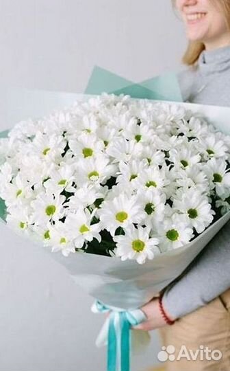 Хризантема Букет хризантем Доставка