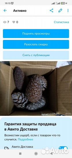 Шишки лля декора