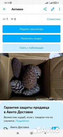 Шишки лля декора