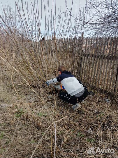 Разнорабочие